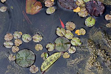 网传《GTA6》陷开发困境《大镖客》复刻版开发中